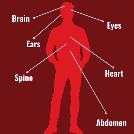 Graphic of a male silhouette with arrows pointing to various body parts